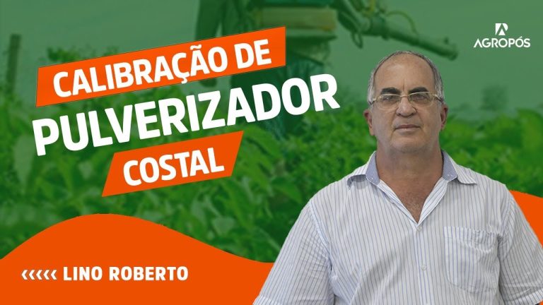 Vapes Descartáveis: A Solução Prática para Vaporizar